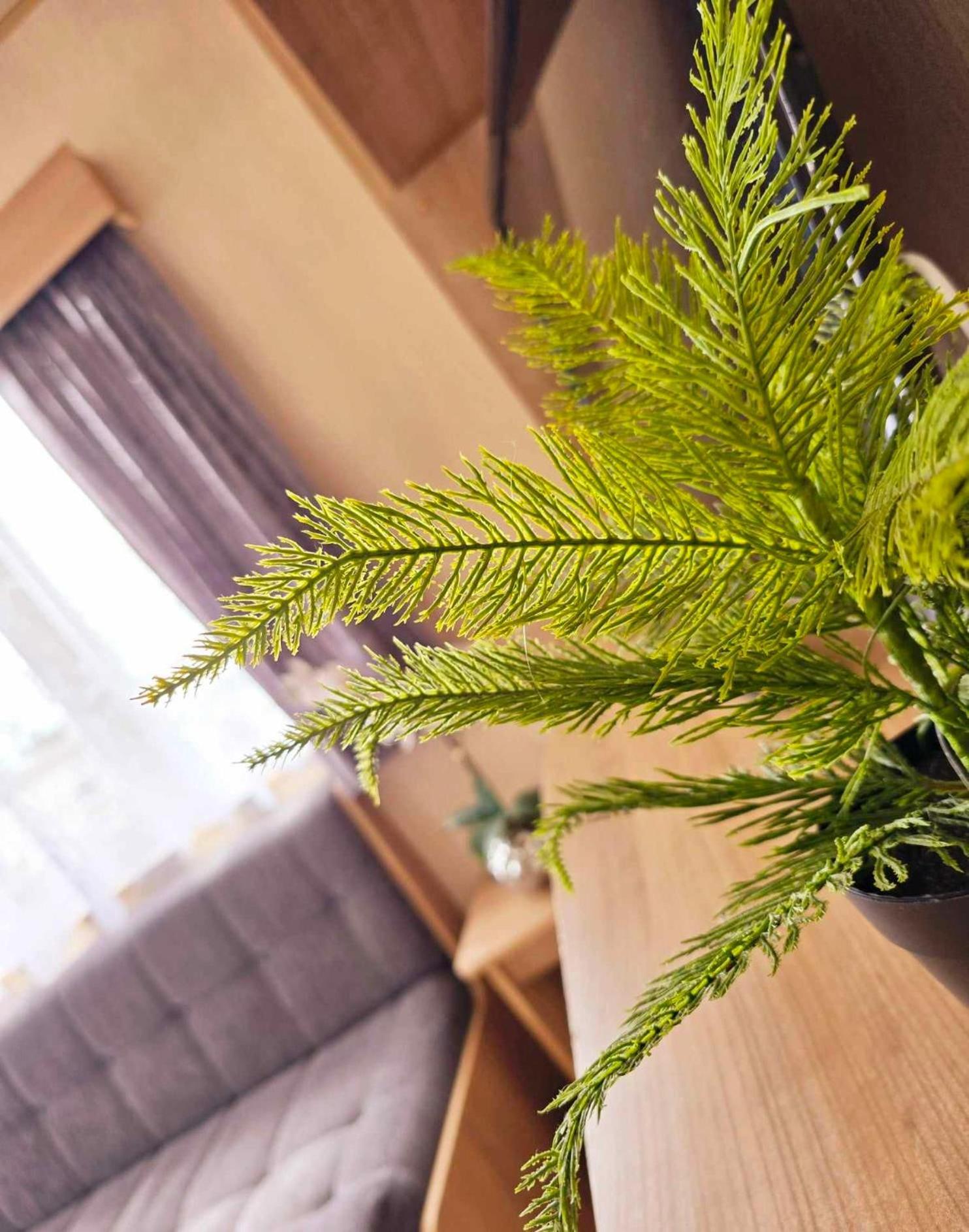 8 Berth Static Caravan Patrington